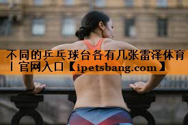 不同的乒乓球台各有几张雷泽体育｜官网入口