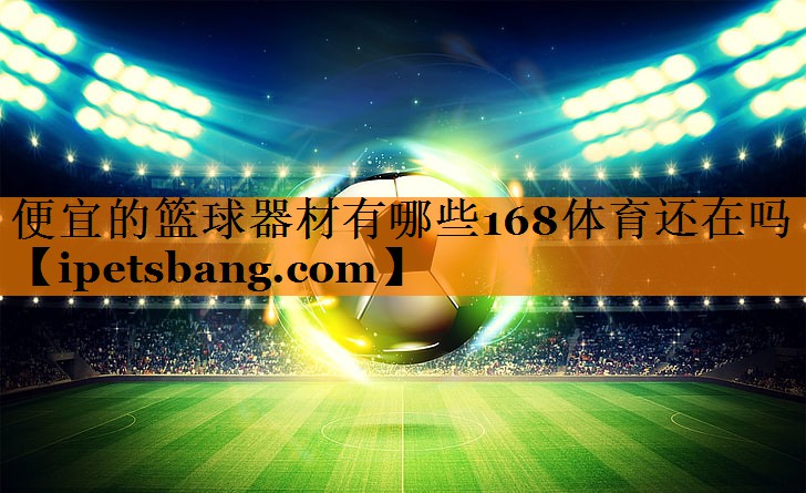 便宜的篮球器材有哪些168体育还在吗