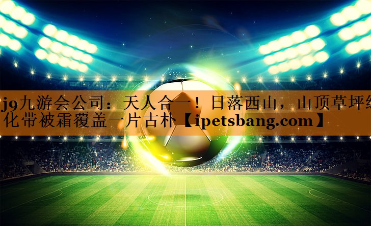 j9九游会公司：天人合一！日落西山，山顶草坪绿化带被霜覆盖一片古朴