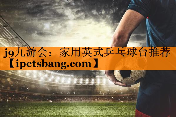 j9九游会：家用英式乒乓球台推荐