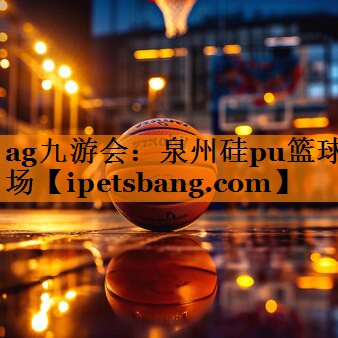 ag九游会：泉州硅pu篮球场