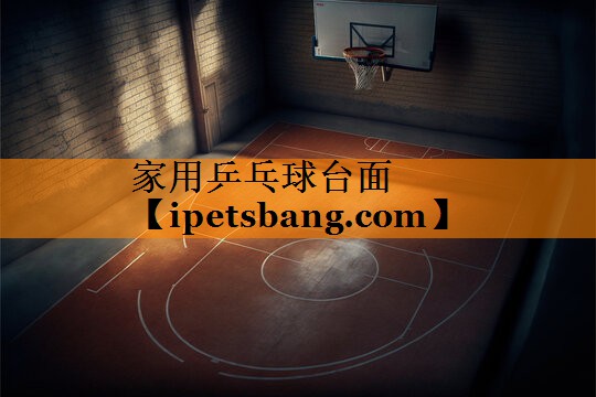 家用乒乓球台面