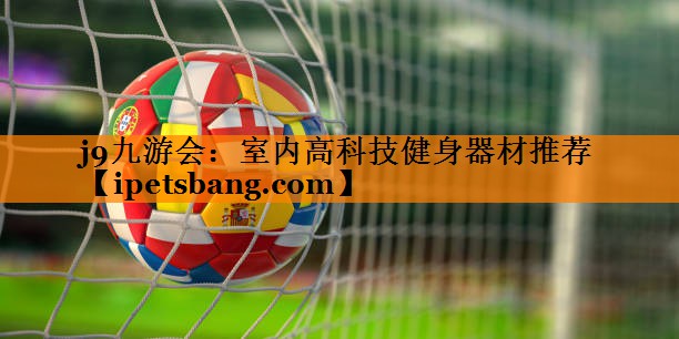 j9九游会：室内高科技健身器材推荐