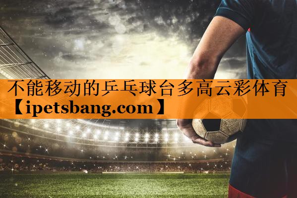 不能移动的乒乓球台多高云彩体育