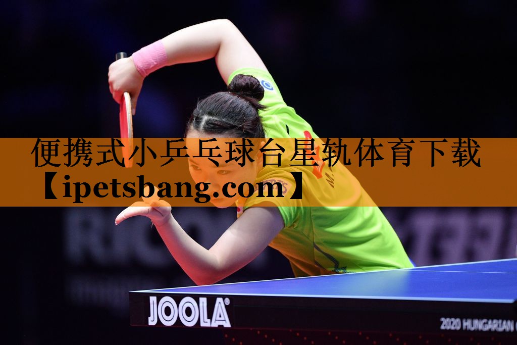 便携式小乒乓球台星轨体育下载