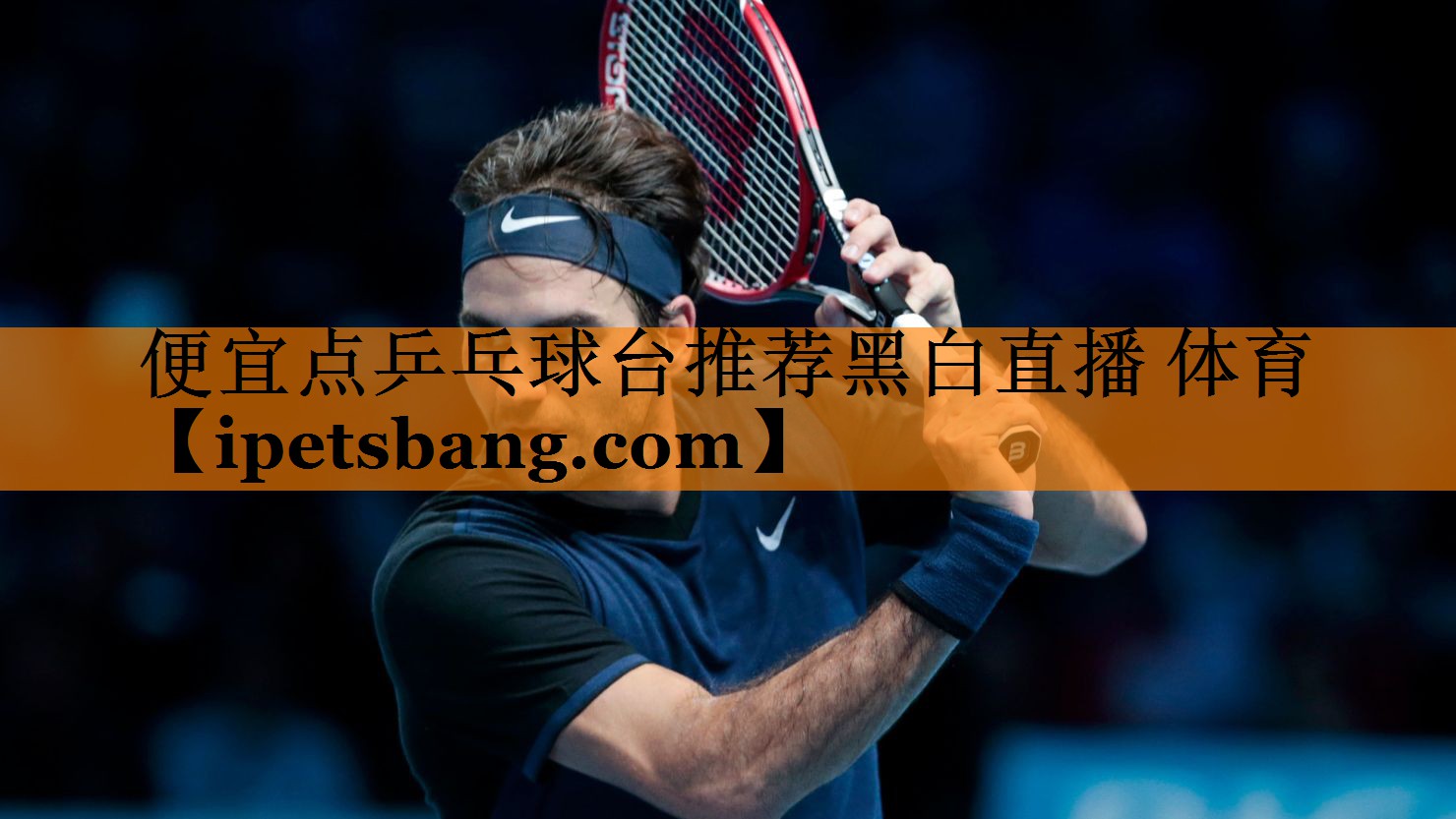 便宜点乒乓球台推荐黑白直播 体育