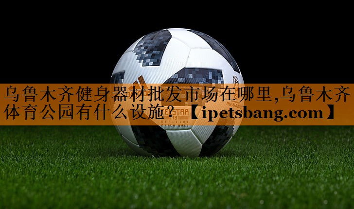 乌鲁木齐健身器材批发市场在哪里,乌鲁木齐体育公园有什么设施？