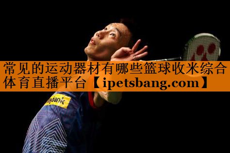 常见的运动器材有哪些篮球收米综合体育直播平台
