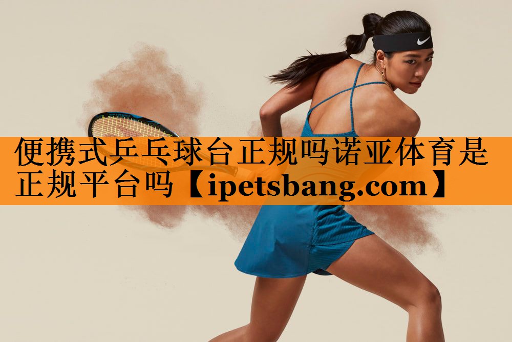 便携式乒乓球台正规吗诺亚体育是正规平台吗