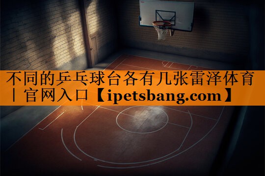 不同的乒乓球台各有几张雷泽体育｜官网入口