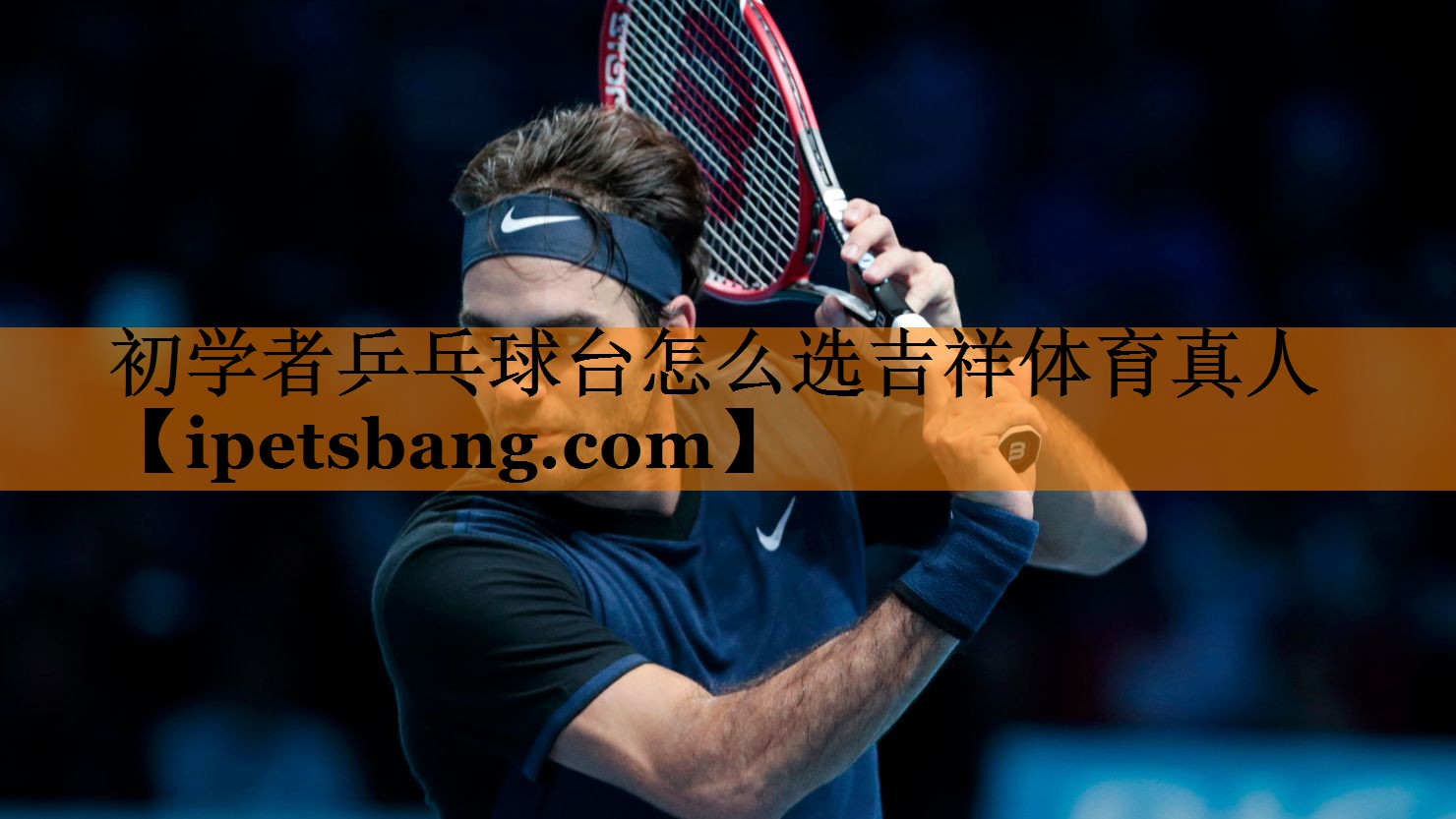 初学者乒乓球台怎么选吉祥体育真人