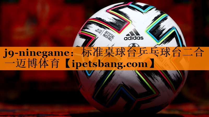 j9-ninegame：标准桌球台乒乓球台二合一迈博体育