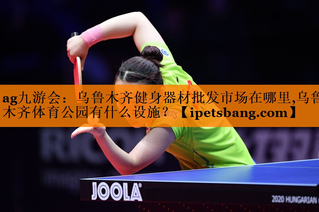 ag九游会：乌鲁木齐健身器材批发市场在哪里,乌鲁木齐体育公园有什么设施？