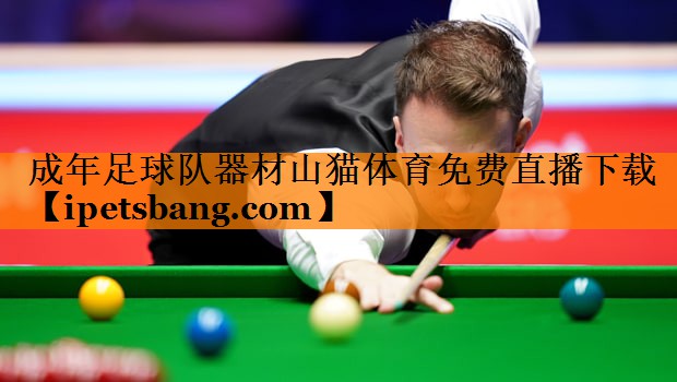 成年足球队器材山猫体育免费直播下载