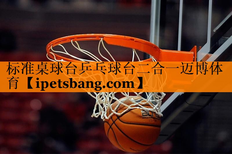 标准桌球台乒乓球台二合一迈博体育