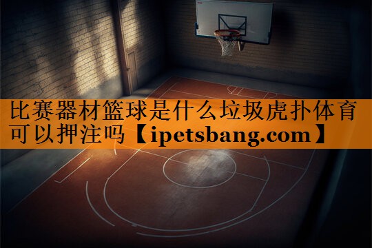 比赛器材篮球是什么垃圾虎扑体育可以押注吗