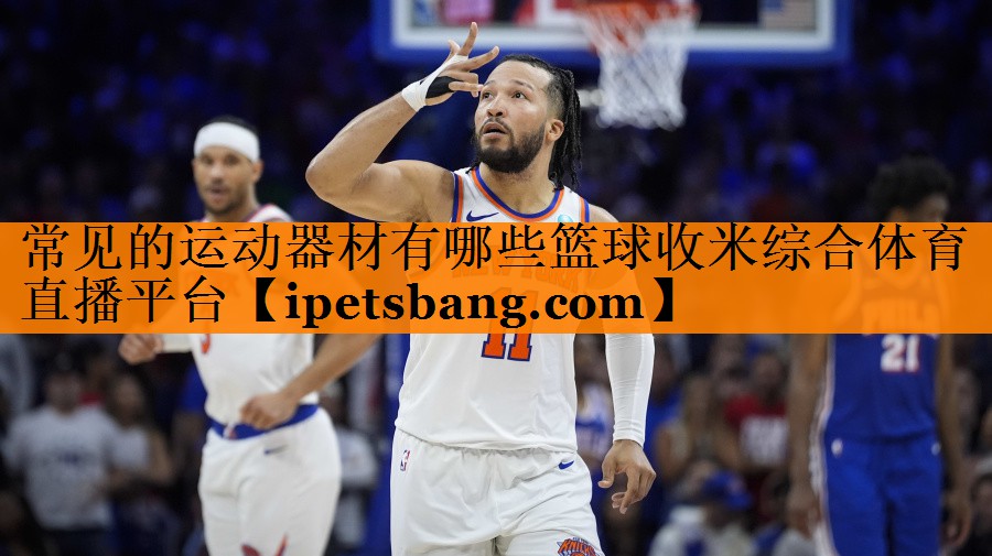 常见的运动器材有哪些篮球收米综合体育直播平台