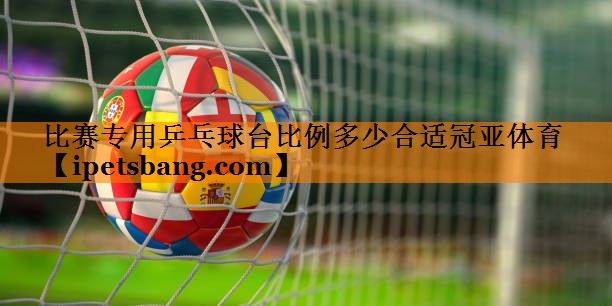 比赛专用乒乓球台比例多少合适冠亚体育