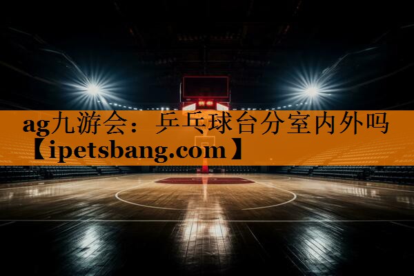 ag九游会：乒乓球台分室内外吗