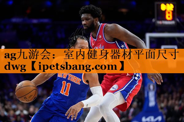 ag九游会：室内健身器材平面尺寸dwg