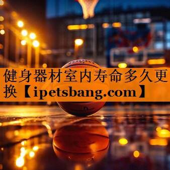 健身器材室内寿命多久更换