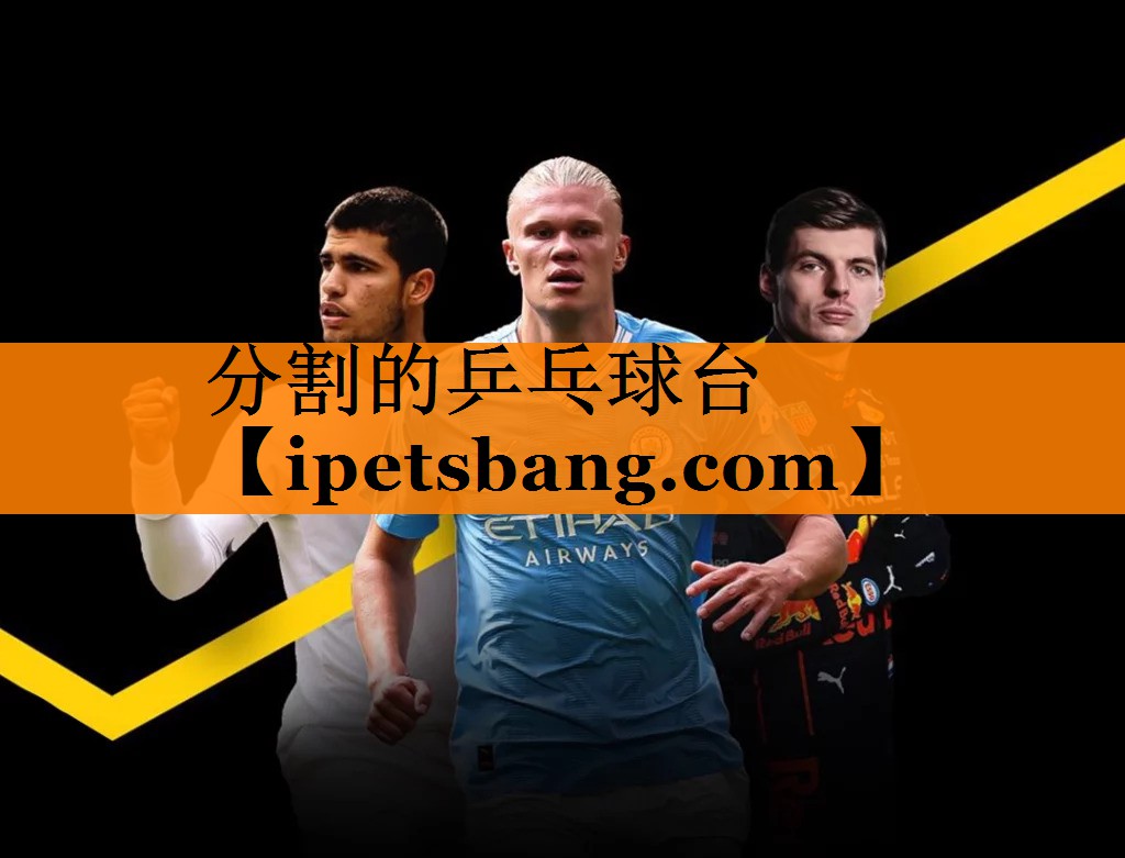 分割的乒乓球台