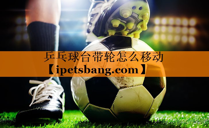 乒乓球台带轮怎么移动 乒乓球台带轮怎么移动