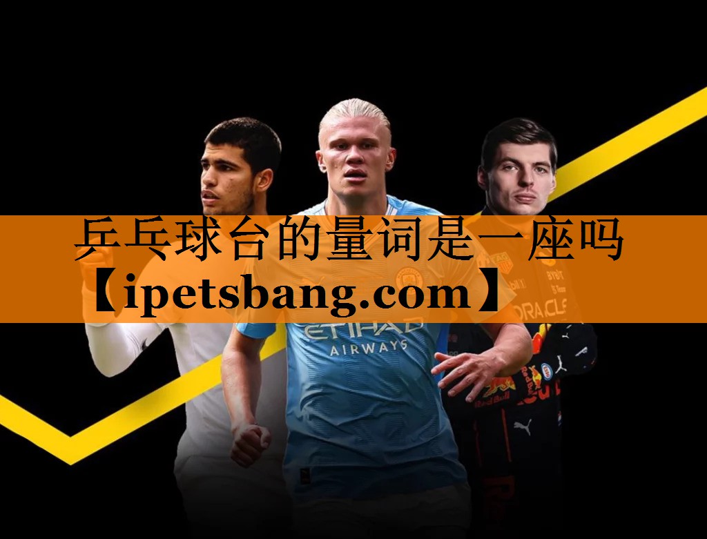 乒乓球台的量词是一座吗 乒乓球台的量词是一座吗
