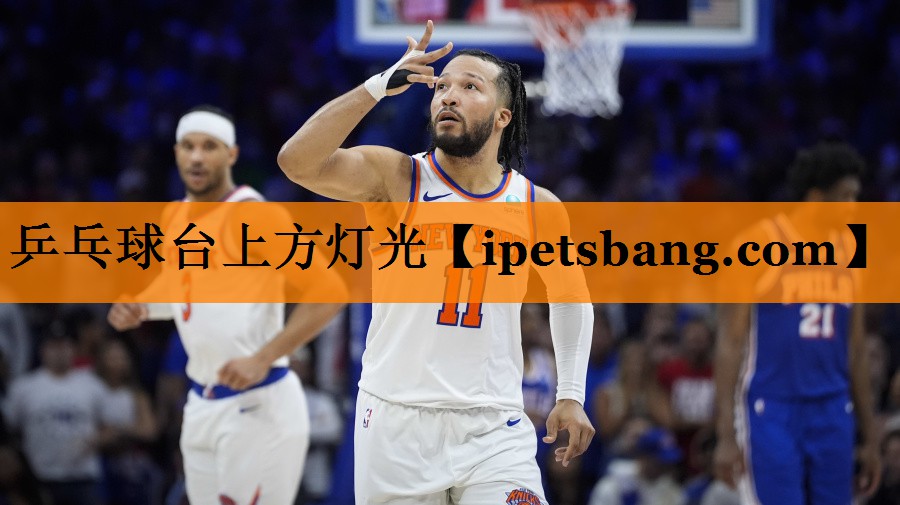 乒乓球台上方灯光 乒乓球台上方灯光