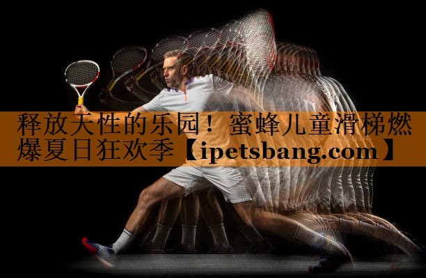 释放天性的乐园!蜜蜂儿童滑梯燃爆夏日狂欢季 释放天性的乐园!蜜蜂儿童滑梯燃爆夏日狂欢季
