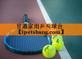 甘肃家用乒乓球台 甘肃家用乒乓球台