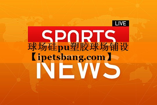 球场硅pu塑胶球场铺设 球场硅pu塑胶球场铺设