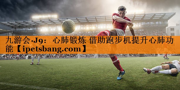 心肺锻炼 借助跑步机提升心肺功能 心肺锻炼 借助跑步机提升心肺功能