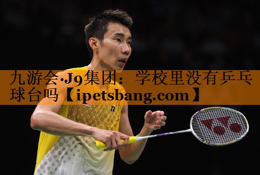 学校里没有乒乓球台吗 学校里没有乒乓球台吗