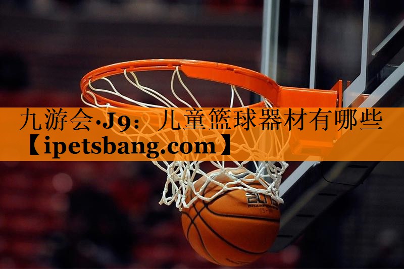 儿童篮球器材有哪些 儿童篮球器材有哪些