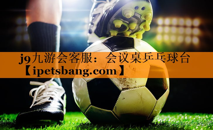 会议桌乒乓球台 会议桌乒乓球台