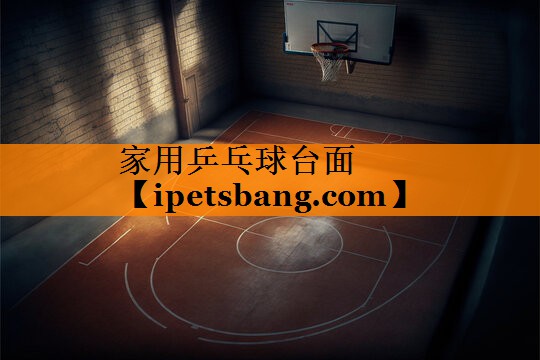 家用乒乓球台面