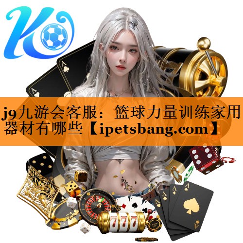 篮球力量训练家用器材有哪些 篮球力量训练家用器材有哪些