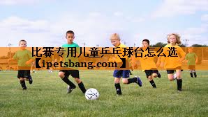比赛专用儿童乒乓球台怎么选 比赛专用儿童乒乓球台怎么选