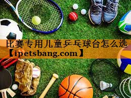 比赛专用儿童乒乓球台怎么选 比赛专用儿童乒乓球台怎么选