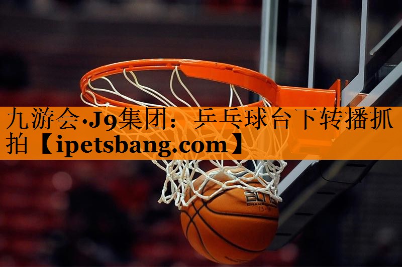 乒乓球台下转播抓拍 乒乓球台下转播抓拍