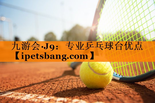 专业乒乓球台优点 专业乒乓球台优点