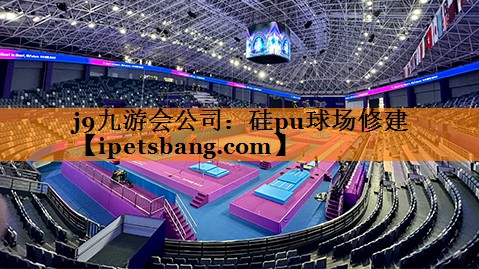 硅pu球场修建 硅pu球场修建