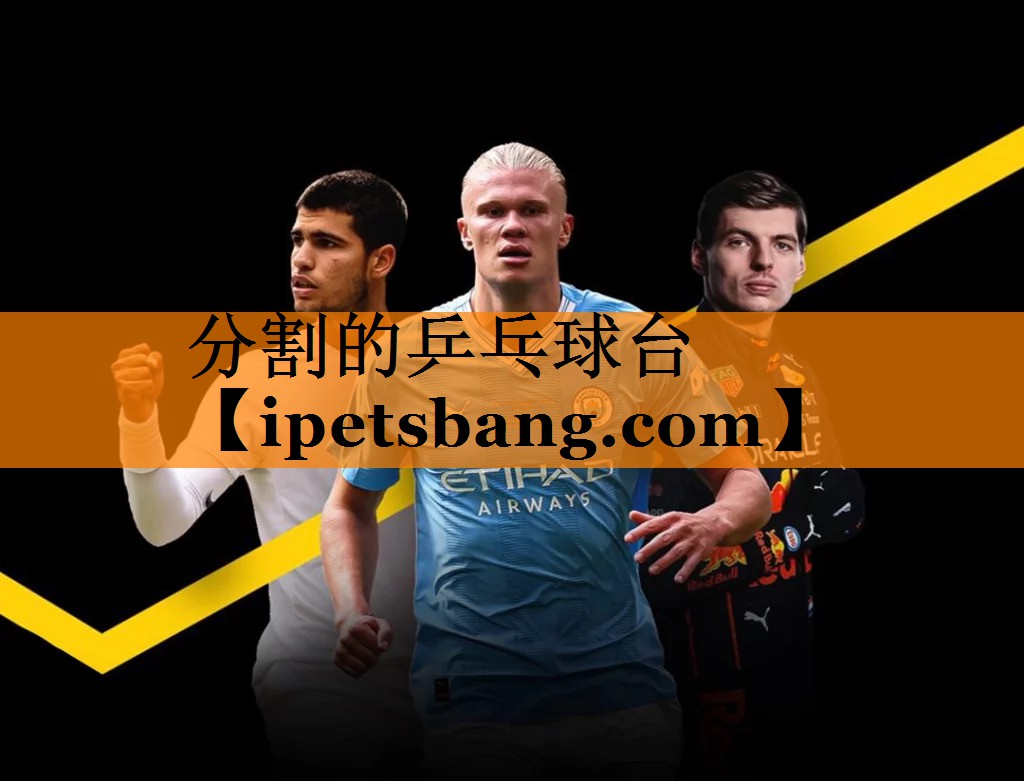 分割的乒乓球台 分割的乒乓球台